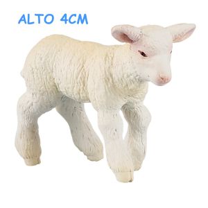 51047 AGNELLO MERINOS