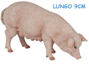 51135 SCROFA NUOVA