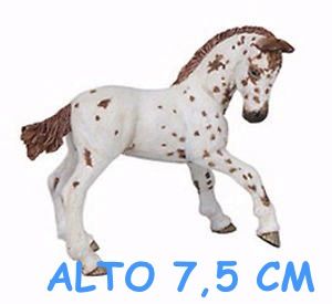 51510 PULEDRO APPALOOSA