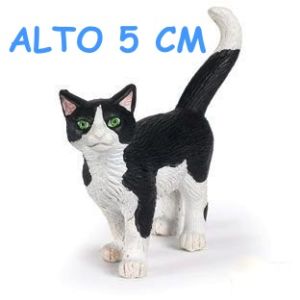 54001 GATTO EUROPEO