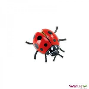 542606 LADYBUG 7CM