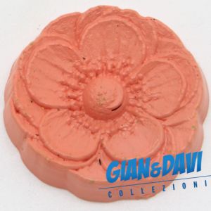 MB_C_FDP Ranucolo d'acqua Rosa