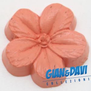 MB_C_FDP Viola Rosa