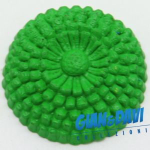 MB_C_FDP Zinnia Verde