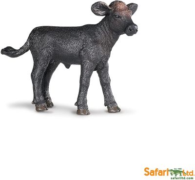 236429 Black Angus Calf