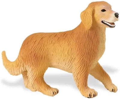 238929 Golden Retriever