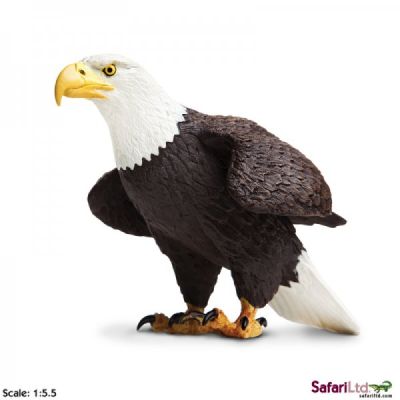 251029 BALD EAGLE AQUILA AMERICANA ALTA 11CM