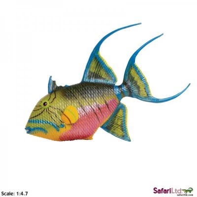 259929 QUEEN TRIGGERFISH PESCE TROPICALE 12CM