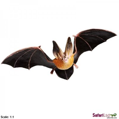 266829 TOWNSEND'S BIG EARED BAT VOLPE VOLANTE LARGO 25CM