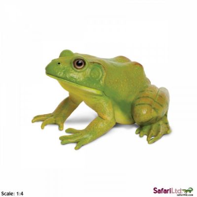 268729 AMERICAN BULLFROG RANA 12CM