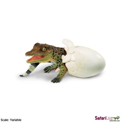 269229 COCCODRILLO NELL'UOVO LUNGO 10CM