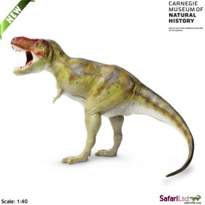 411301 TYRANNOSAURUS REX 19CM Fuori produzione