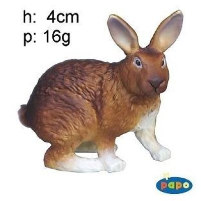 51049 CONIGLIO MARRONE