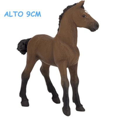 51504 PULEDRO PUROSANGUE INGLESE