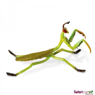 542206 PRAYING MANTIS 15CM