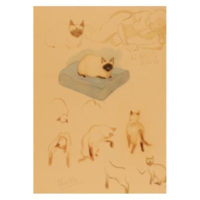 Tintin Moulinsart Museum Postcard 17,5x12,5cm - 80610 CB Illustration Chats