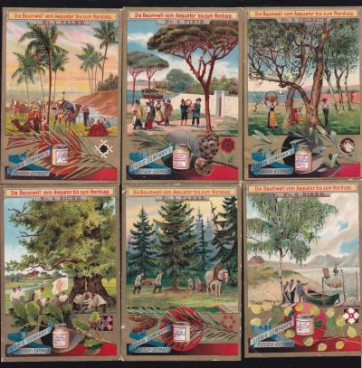 Fig_lbg 500 De - Alberi di differenti latitudini