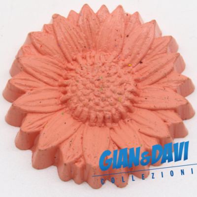 MB_C_FDP Crisantemo Rosa