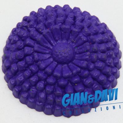 MB_C_FDP Zinnia Viola