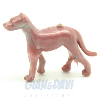 Cane Rosa Antico 1