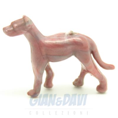 Cane Rosa Antico 2