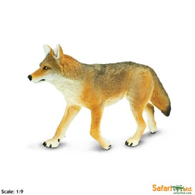 113089 Coyote 16,5cm