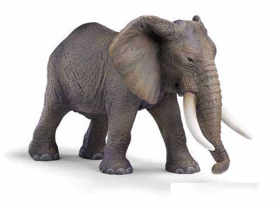 Schleich Wild Life 14341 African Elephant Male