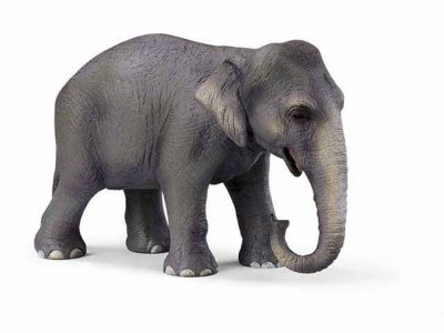 Schleich Wild Life 14344 Indian Elephant Female