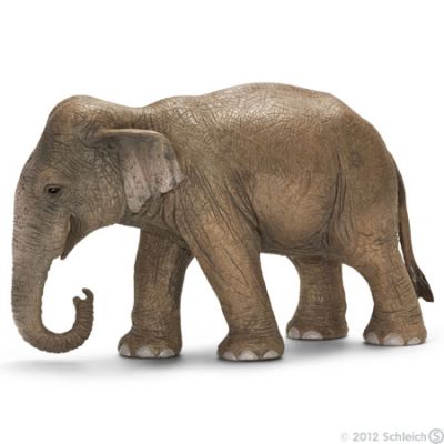 Schleich Wild Life 14654 Asian Elephant Female