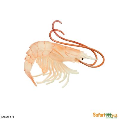 265729 Shrimp gamberetto 11cm