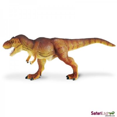 300729 Tyrannosaurus rex 22cm
