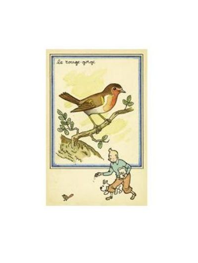 Tintin Moulinsart Postcard 13,5x9cm - 30302 La rouge-gorge