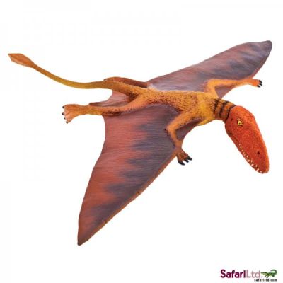 304729 Dimorphodon 20cm