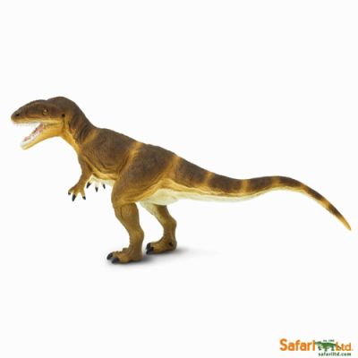305229 Carcharodontosaurus 22cm