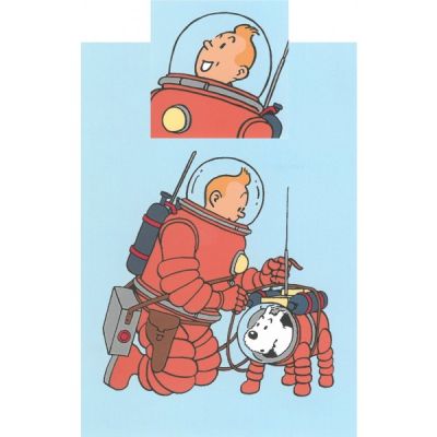 Tintin Linge de Maison 130341 House de couette + taie - Lune