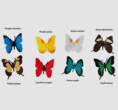 684504 butterflies farfalle