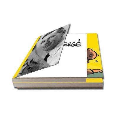 Tintin Libri 28993 CATALOG GRAND PALAIS (BOX) 
