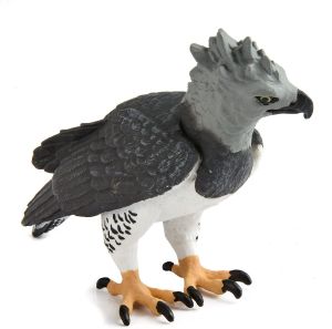 150929 Harpy Eagle