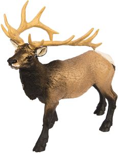 180329 Naw Elk Bull