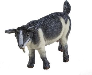 245129 Pygmy Nanny Goat