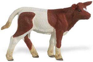249729 Red Holstein Calf