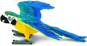 264029 Blue & Gold Macaw