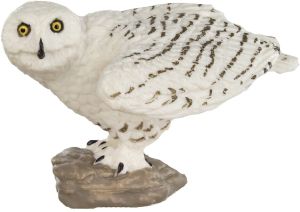 264729 Snowy Owl