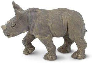 270329 White Rhino Baby
