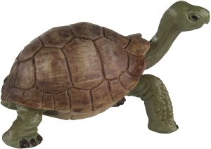 272529 Jungle Tortoise