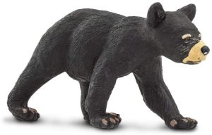 273629 Black Bear Cub