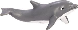 275429 Bottlenose Dolphin Calf
