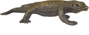 291029 Jungle Komodo Dragon 