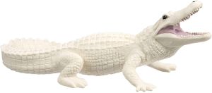 291929 White Alligator