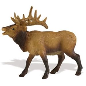 292329 Elk